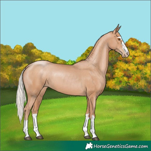 Horse Color:Silver Black Pearl 