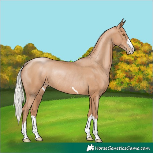 Horse Color:Silver Black Pearl Rabicano 