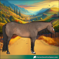Horse Color:Brown Dun Rabicano