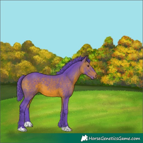 Horse Color:Watercolor Bay 