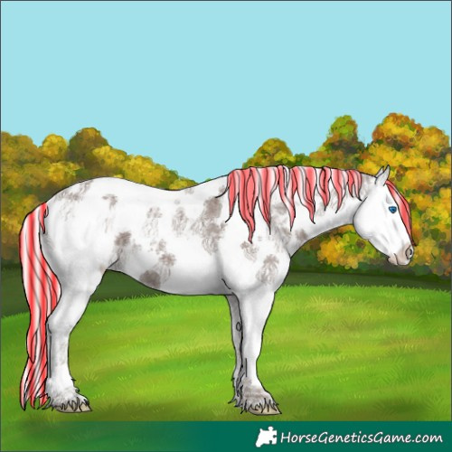 Horse Color:Painted White Spotted Silver Black Ice Splash Tobiano Appaloosa