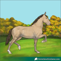 Horse Color:Classic Cream Champagne Dun Brindle 