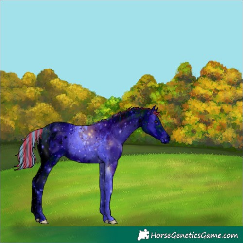 Horse Color:ERROR: UNKNOWN ANOMALY