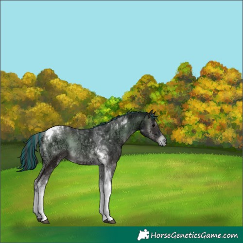 Horse Color:Painted Blue Onyx Ice Mushroom Tobiano 