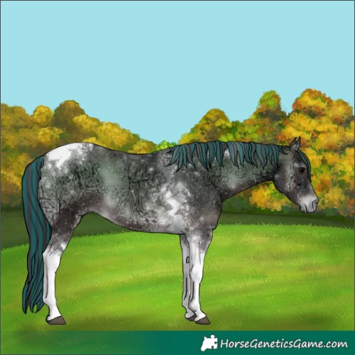 Horse Color:Painted Blue Onyx Ice Mushroom Tobiano 