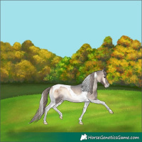 Horse Color:Liver Red Onyx Tobiano Varnish Rabicano 