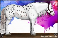 Horse Color:Brown Splash Snowflake Varnish