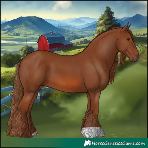 Horse Color:Chestnut 