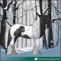 Horse Color:Black Tobiano 