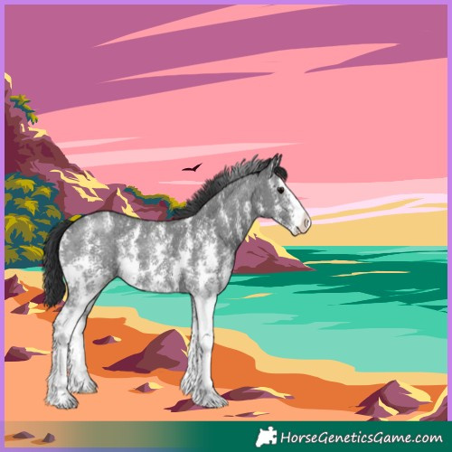 Horse Color:Black Sabino