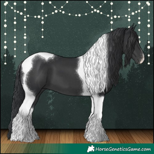 Horse Color:Black Tobiano 