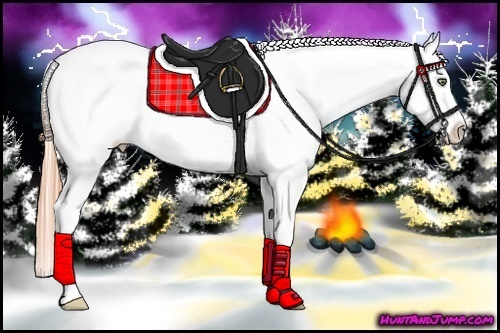 Horse Color:Buckskin Pearl Frame Appaloosa Rabicano 