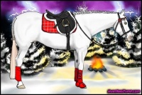 Horse Color:Buckskin Pearl Frame Near Leopard Rabicano