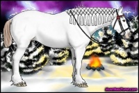 Horse Color:White Spotted Buckskin Splash Frame Appaloosa Rabicano