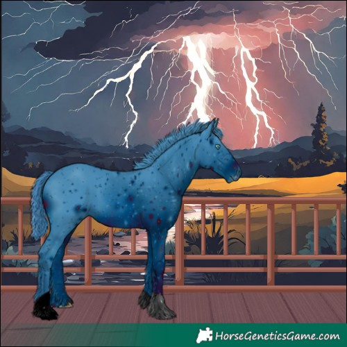 Horse Color:ERROR: UNKNOWN ANOMALY