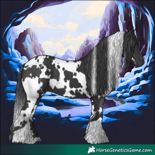 Horse Color:White Spotted Black