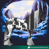 Horse Color:White Spotted Black 