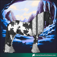 Horse Color:White Spotted Black 