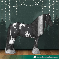Horse Color:White Spotted Black 