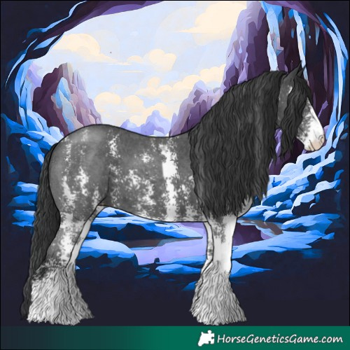 Horse Color:Black Sabino