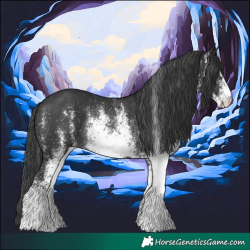 Horse Color:White Spotted Black Rabicano