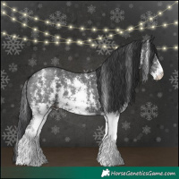 Horse Color:Black Sabino