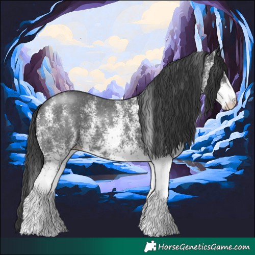 Horse Color:White Spotted Black