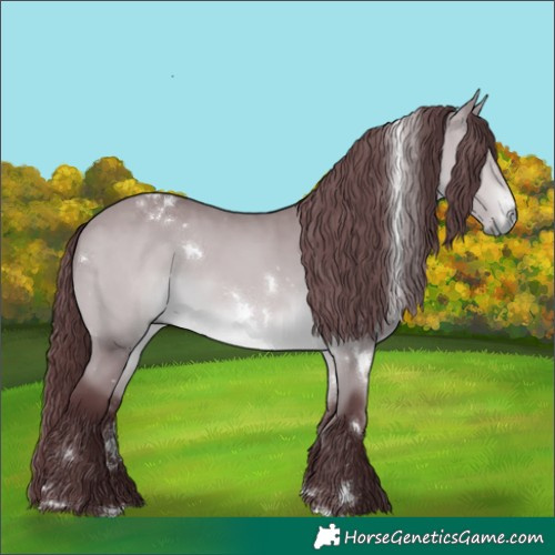 Horse Color:White Spotted Chocolate Bay Chinchilla Rabicano