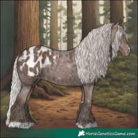 Horse Color:Silver Black Blanket