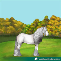 Horse Color:Gray Liver Red Dun Sabino 