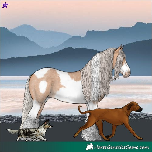 Horse Color:Silver Bay Dun Sabino Tobiano Frame Rabicano 