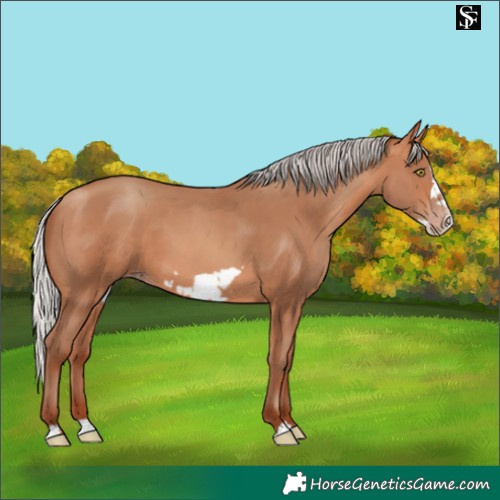 Horse Color:Silver Sable Champagne Frame