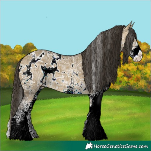 Horse Color:White Spotted Buckskin Ice Dun Appaloosa Brindle 