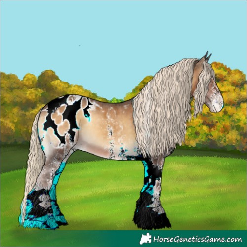 Horse Color:White Spotted Chocolate Palomino Onyx Tobiano Blanket 