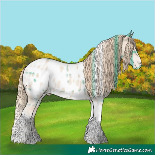 Horse Color:Plaid  Perlino Tobiano Appaloosa 