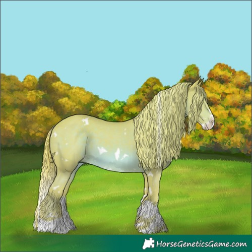 Horse Color:Watercolor White Spotted Chestnut Splash