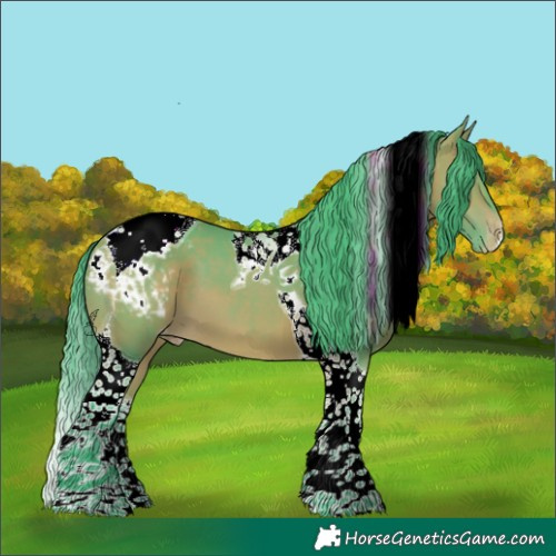 Horse Color:Watercolor Bay Tobiano Appaloosa