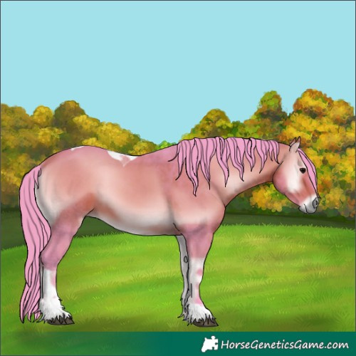 Horse Color:Watercolor Bay Onyx Tobiano 