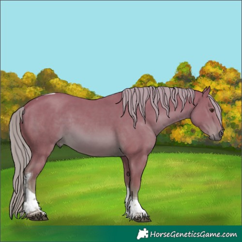 Horse Color:Watercolor Chestnut Tobiano 