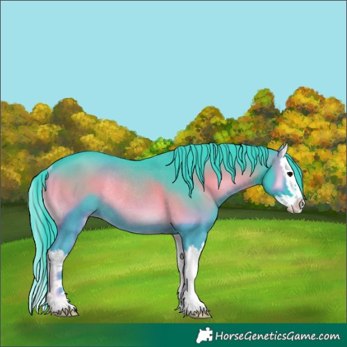 Horse Color:Watercolor Blue Onyx Splash Rabicano 