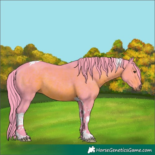 Horse Color:Watercolor Liver Chestnut Tobiano Rabicano 