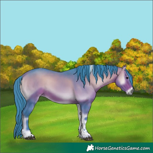 Horse Color:Watercolor Bay Onyx Tobiano Rabicano 