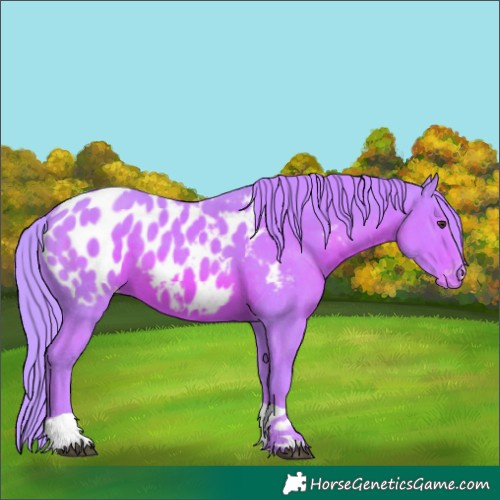 Horse Color:Watercolor Chestnut Tobiano Near Leopard Rabicano 