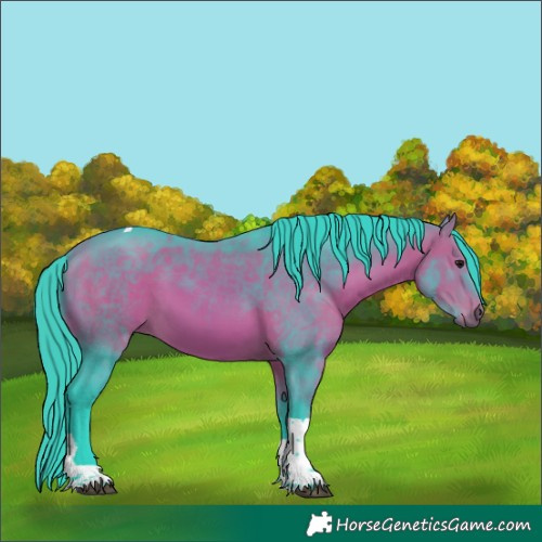 Horse Color:Watercolor Bay Tobiano Rabicano 