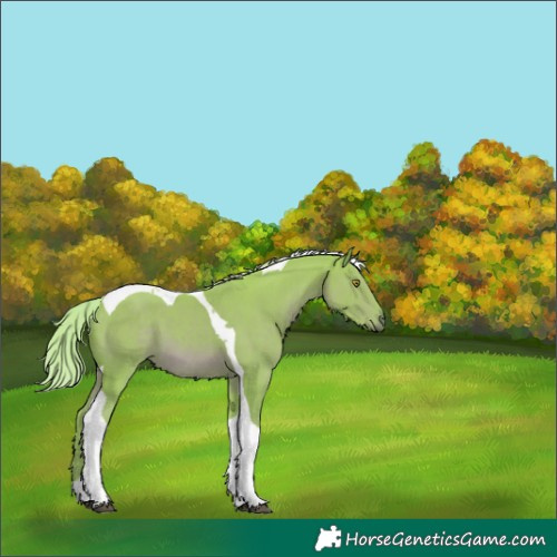 Horse Color:Watercolor Chestnut Tobiano 