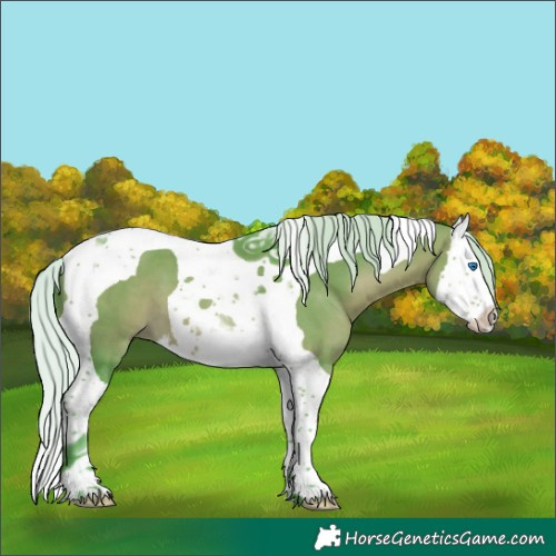 Horse Color:Watercolor Silver Bay Splash Tobiano 