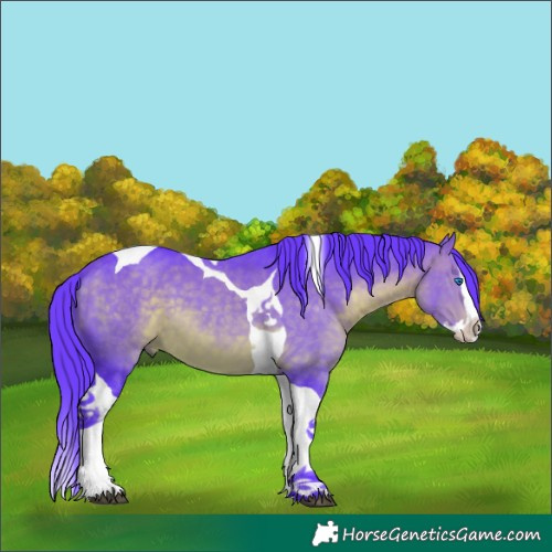 Horse Color:Watercolor Brown Splash Tobiano 