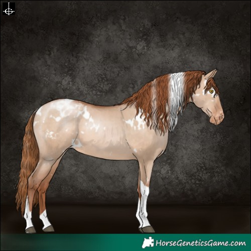 Horse Color:White Spotted Brown Pearl Dun Tobiano Varnish 