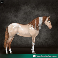 Horse Color:White Spotted Brown Pearl Dun Tobiano Varnish 