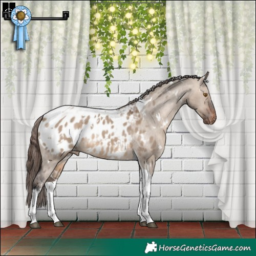 Horse Color:White Spotted Brown Dun Tobiano Blanket 